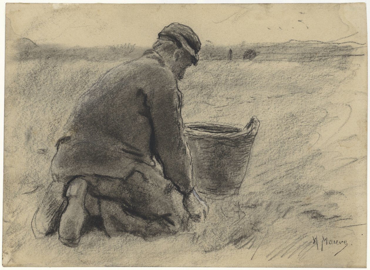 burgonyakombájn alkotó: Anton Mauve