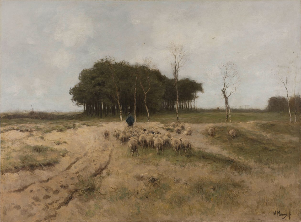 A Heath-en Laren közelében Heide Larenben alkotó: Anton Mauve