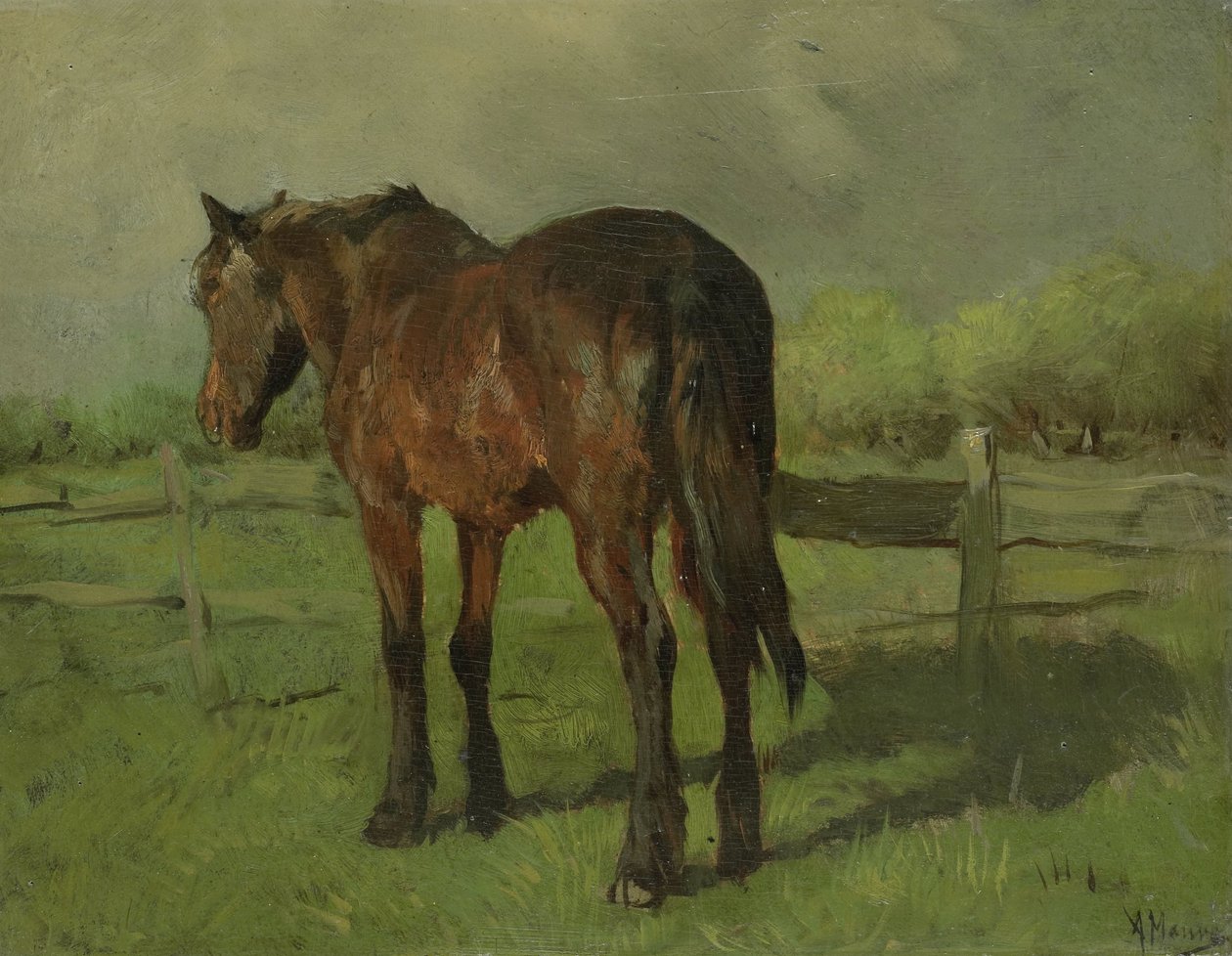 Ló alkotó: Anton Mauve