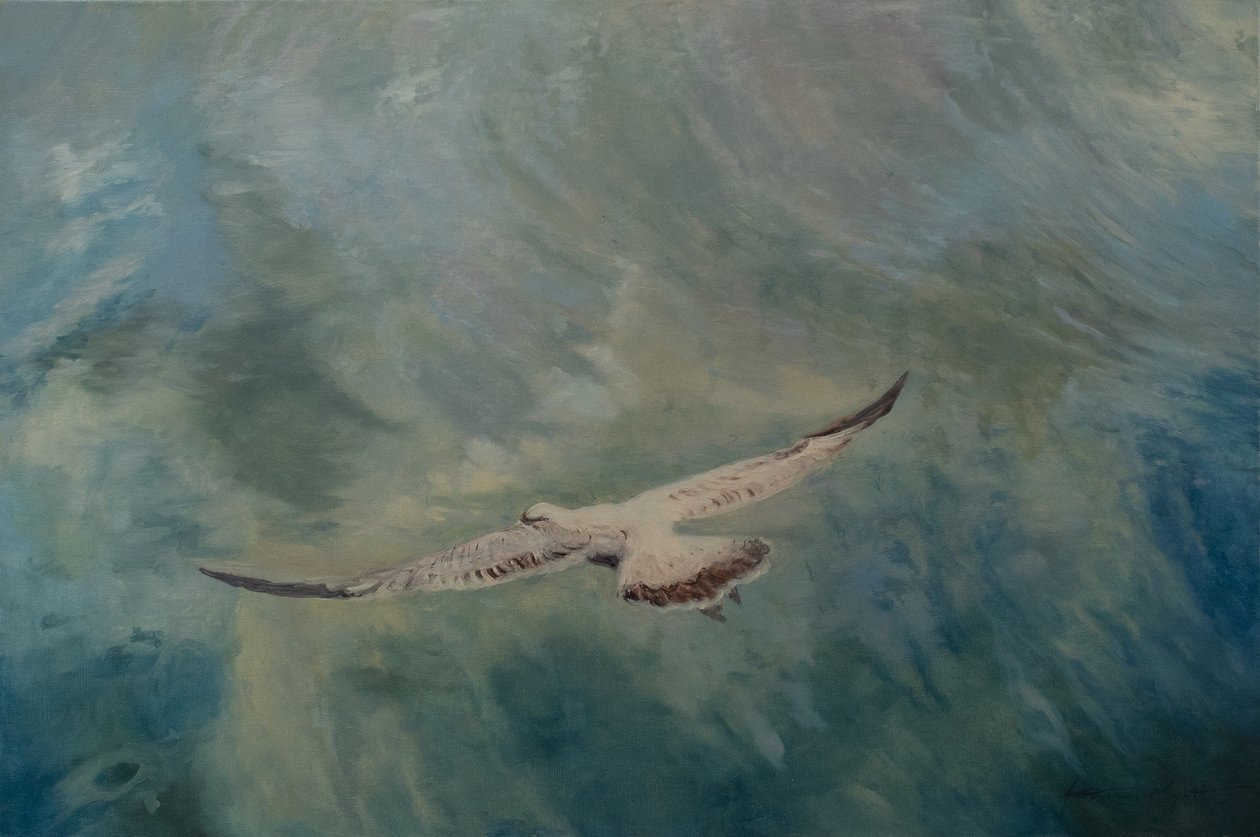 Sirály szárnyak kinyújtva, 2012 (olaj, vászon) alkotó: Antonia Myatt