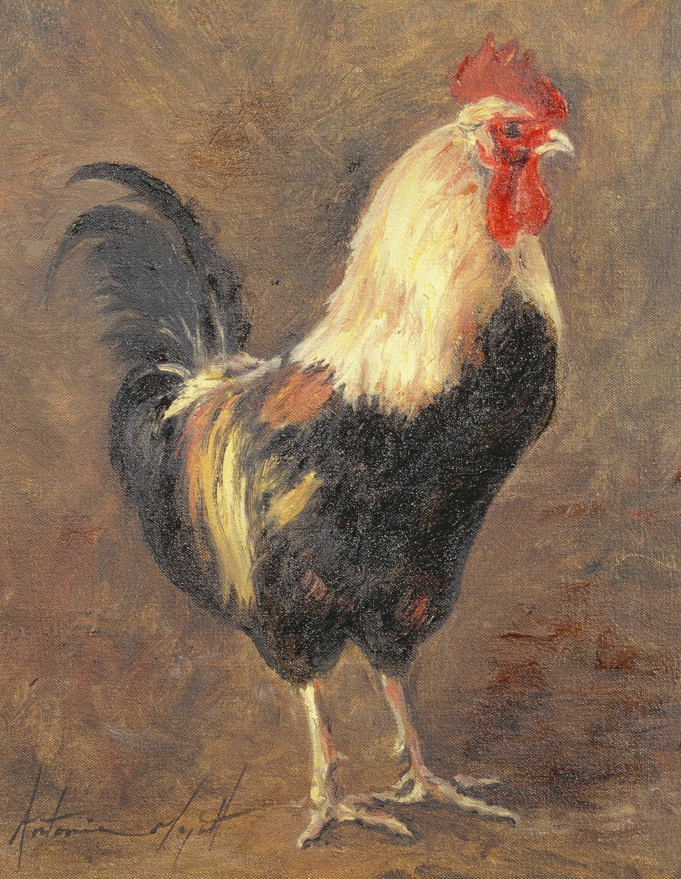 A kakas, 1999 alkotó: Antonia Myatt