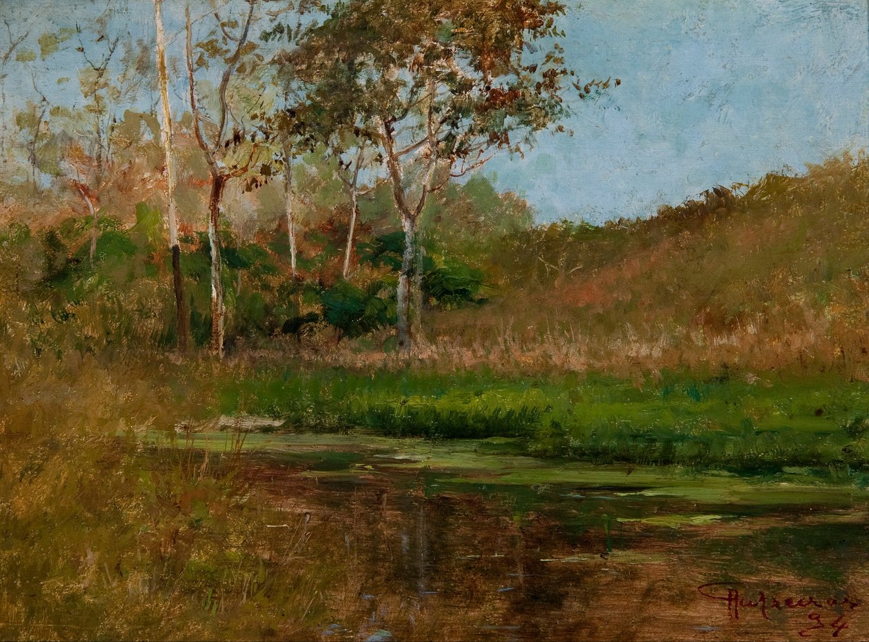 Állóvíz alkotó: Antonio Parreiras