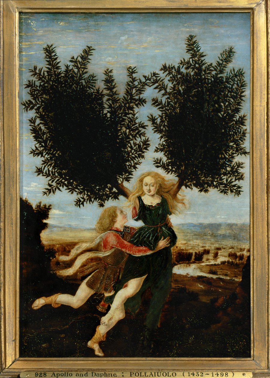 Apollo és Daphne ... (festmény vászonra) alkotó: Antonio Pollaiuolo