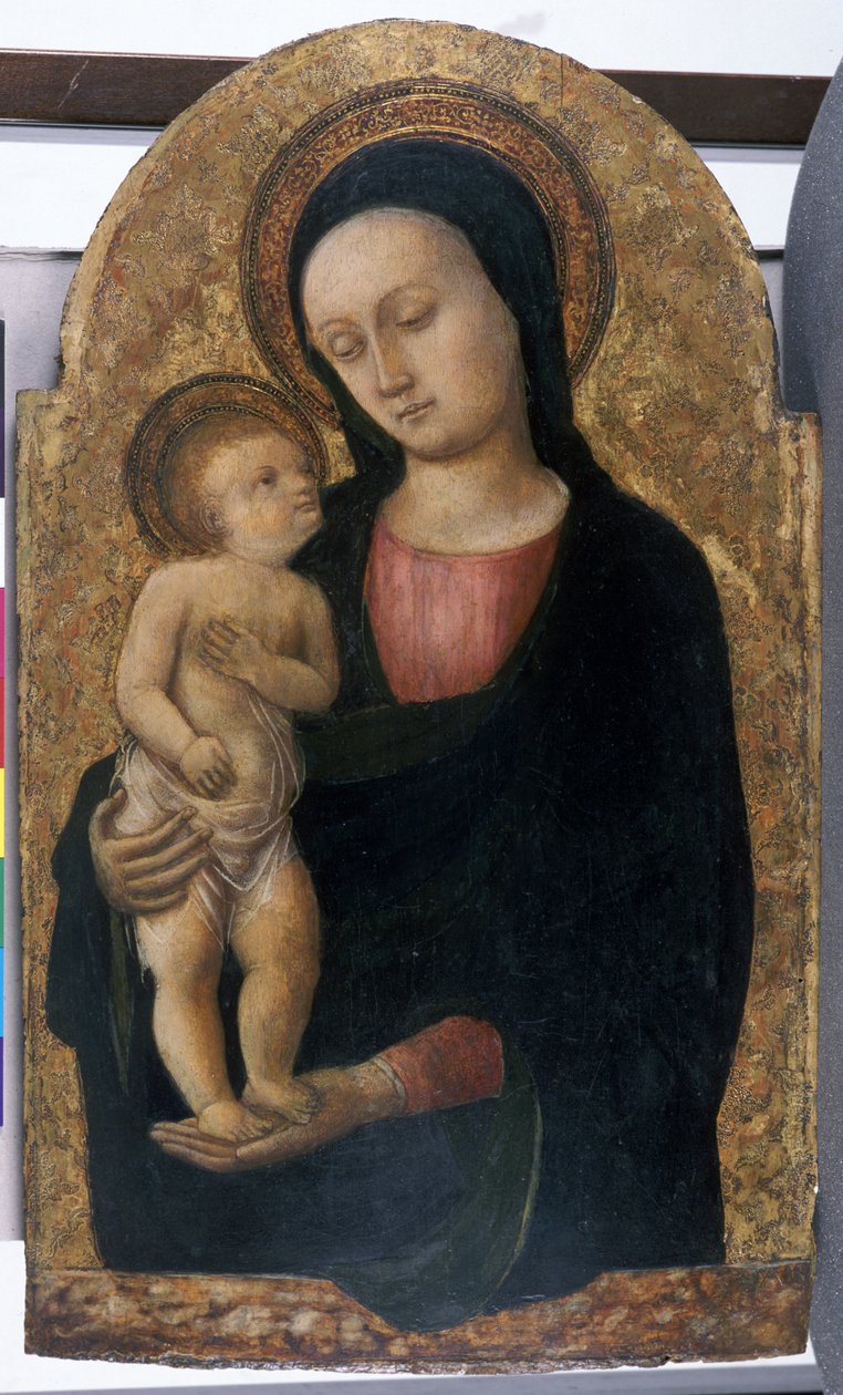 Madonna és gyermeke, 145060 körül (tempera fán) alkotó: Antonio Vivarini