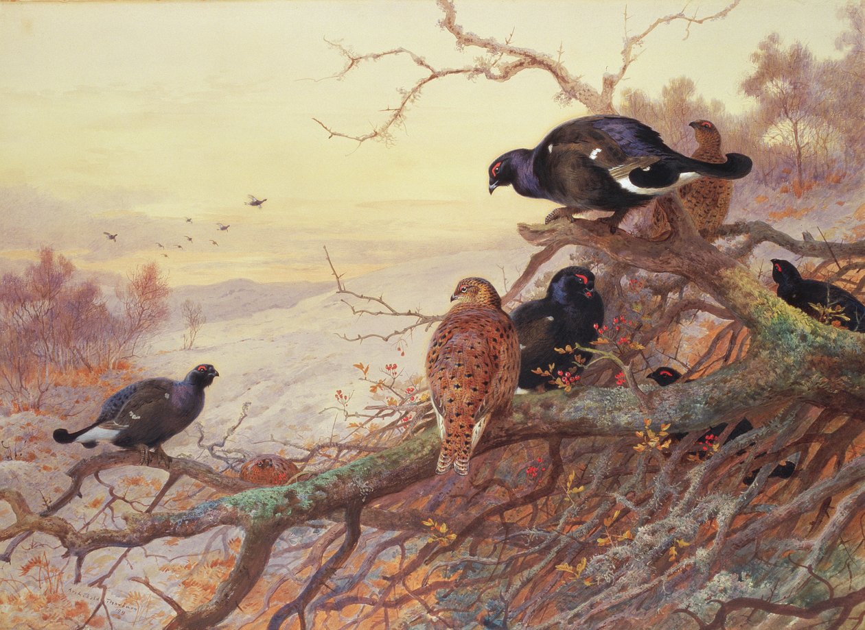 Blackgame télen alkotó: Archibald Thorburn