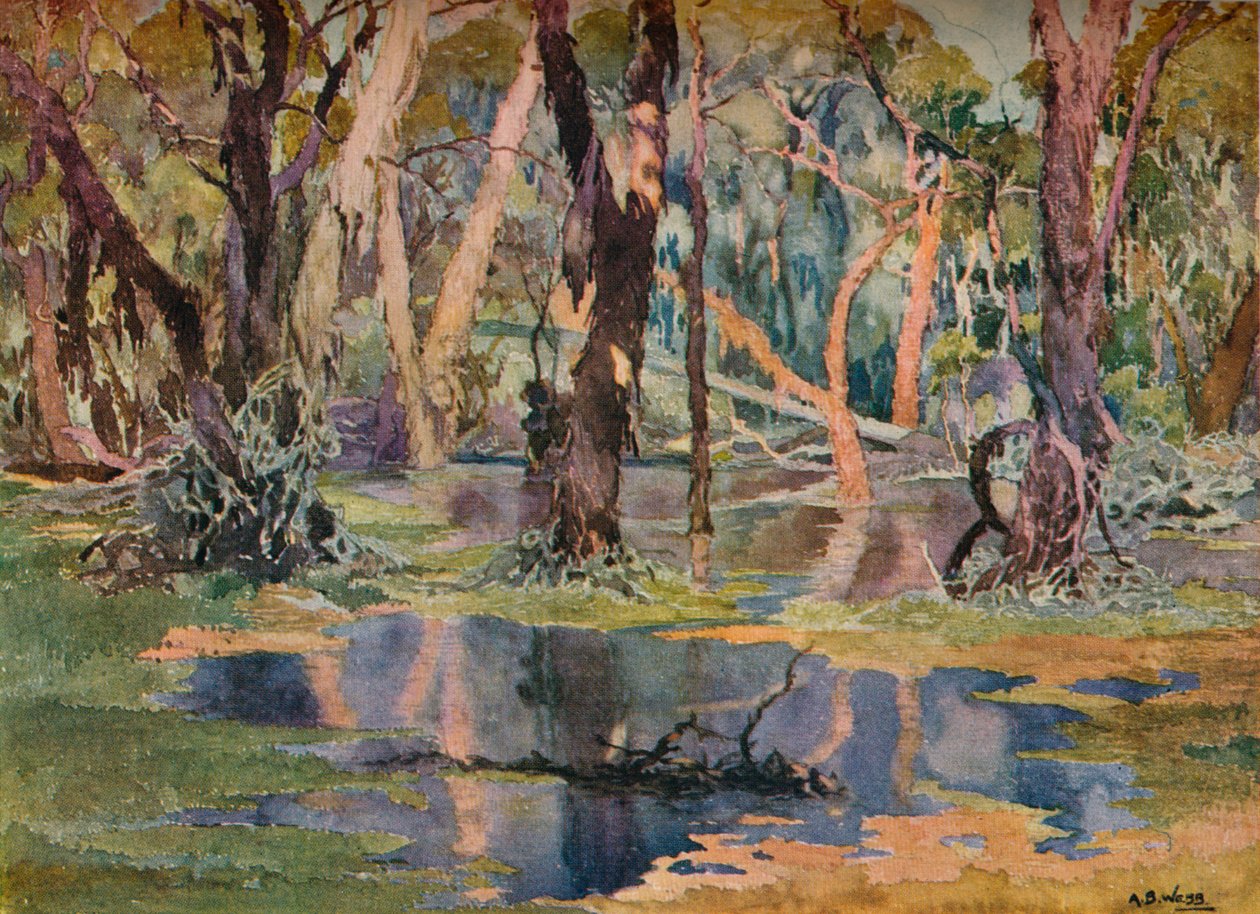 "Quindanning Pool", 1927 alkotó: Archibald Bertram Webb