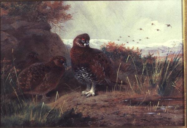 Cerkenyek a téli tájban alkotó: Archibald Thorburn