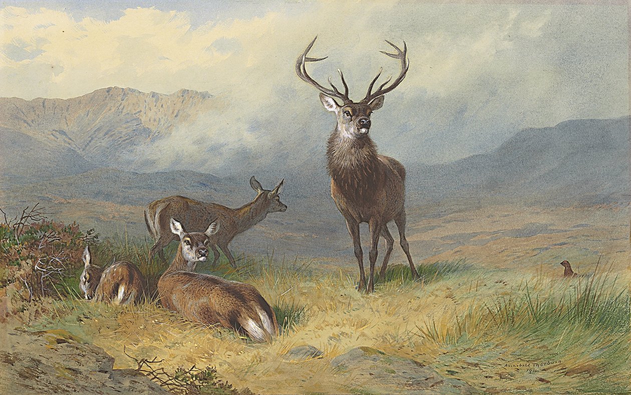 A Glen uralkodója alkotó: Archibald Thorburn