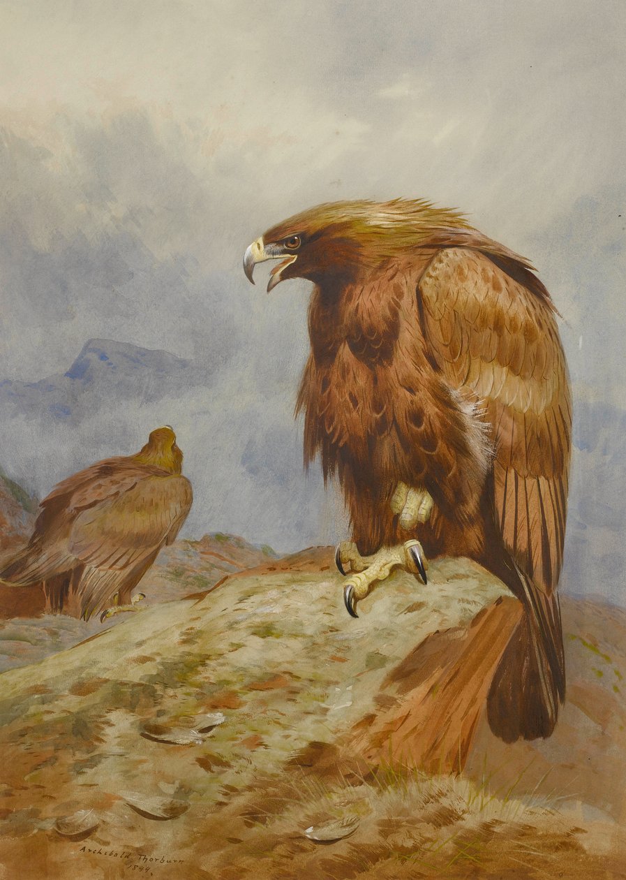 Arany sasok párja alkotó: Archibald Thorburn