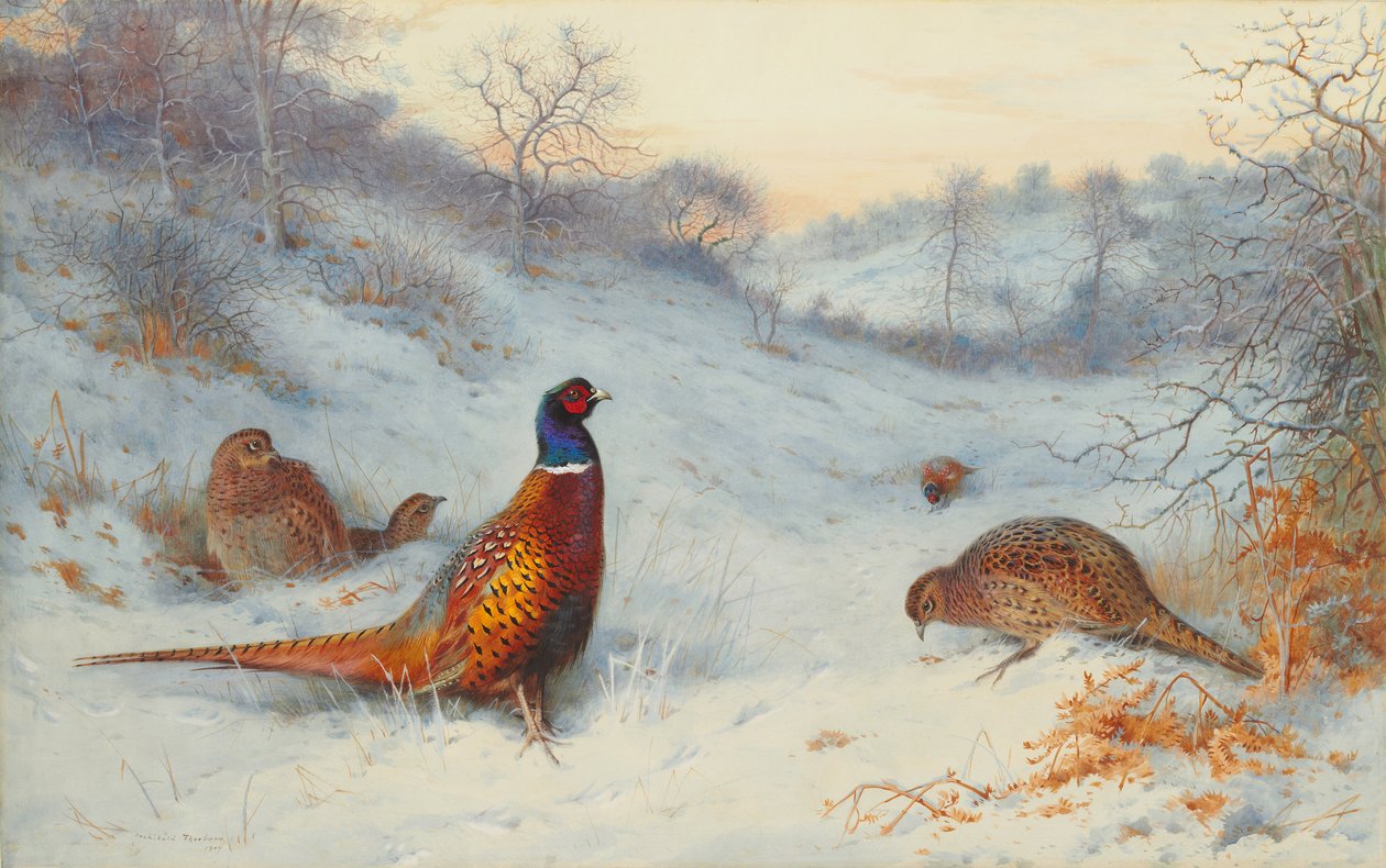 Fácán a hóban alkotó: Archibald Thorburn