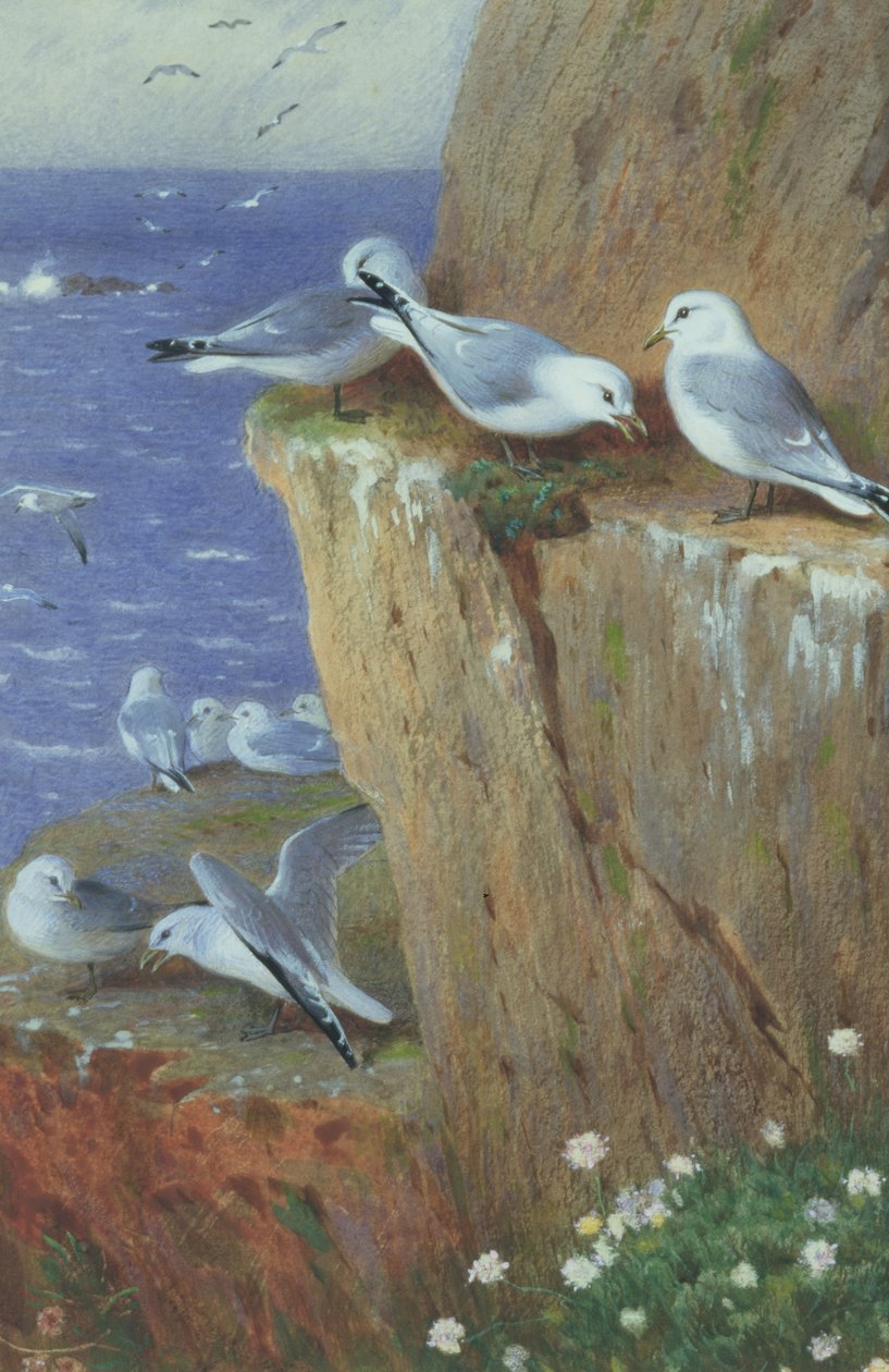 Sirályok alkotó: Archibald Thorburn