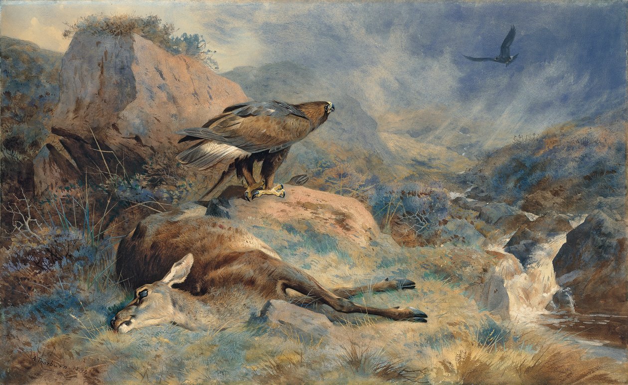 Az elveszett Hind alkotó: Archibald Thorburn
