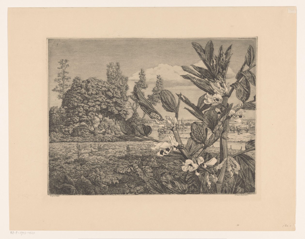 Táj virágokkal alkotó: Arend Hendriks (signed by artist)