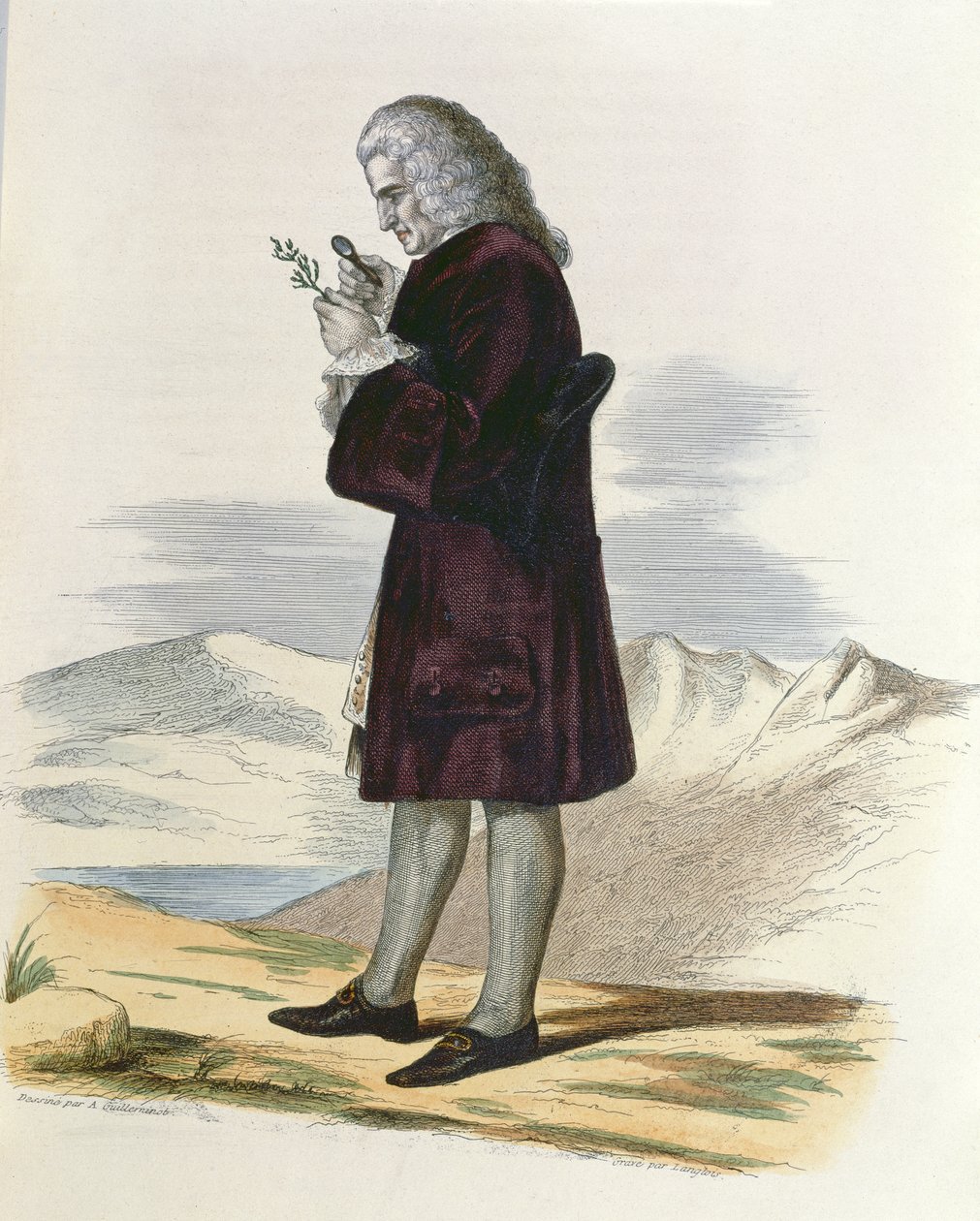 Bernard de Jussieu (1699-1777), 1820 körül. alkotó: Armand Guilleminot