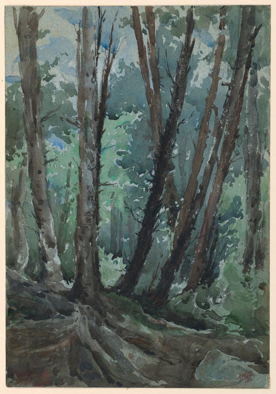 Erdő alkotó: Arnold William Brunner
