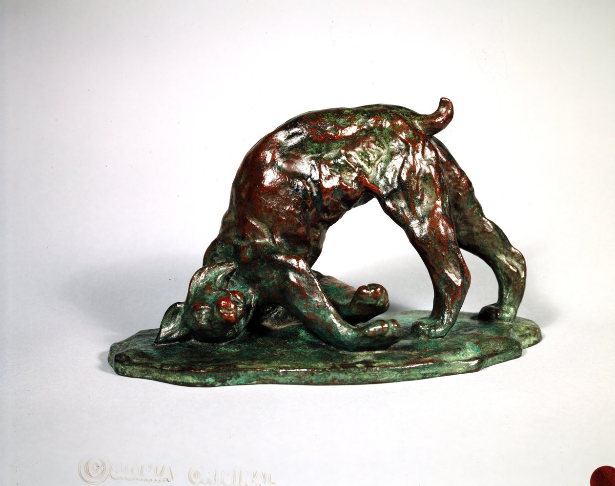 Skunked Lynx, 1909 (bronz) alkotó: Arthur Putnam
