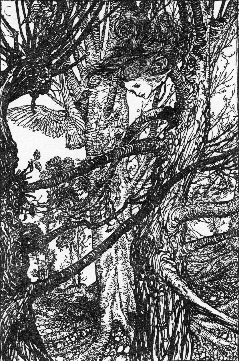 Lewis Carroll Alice kalandjai Csodaországban alkotó: Arthur Rackham