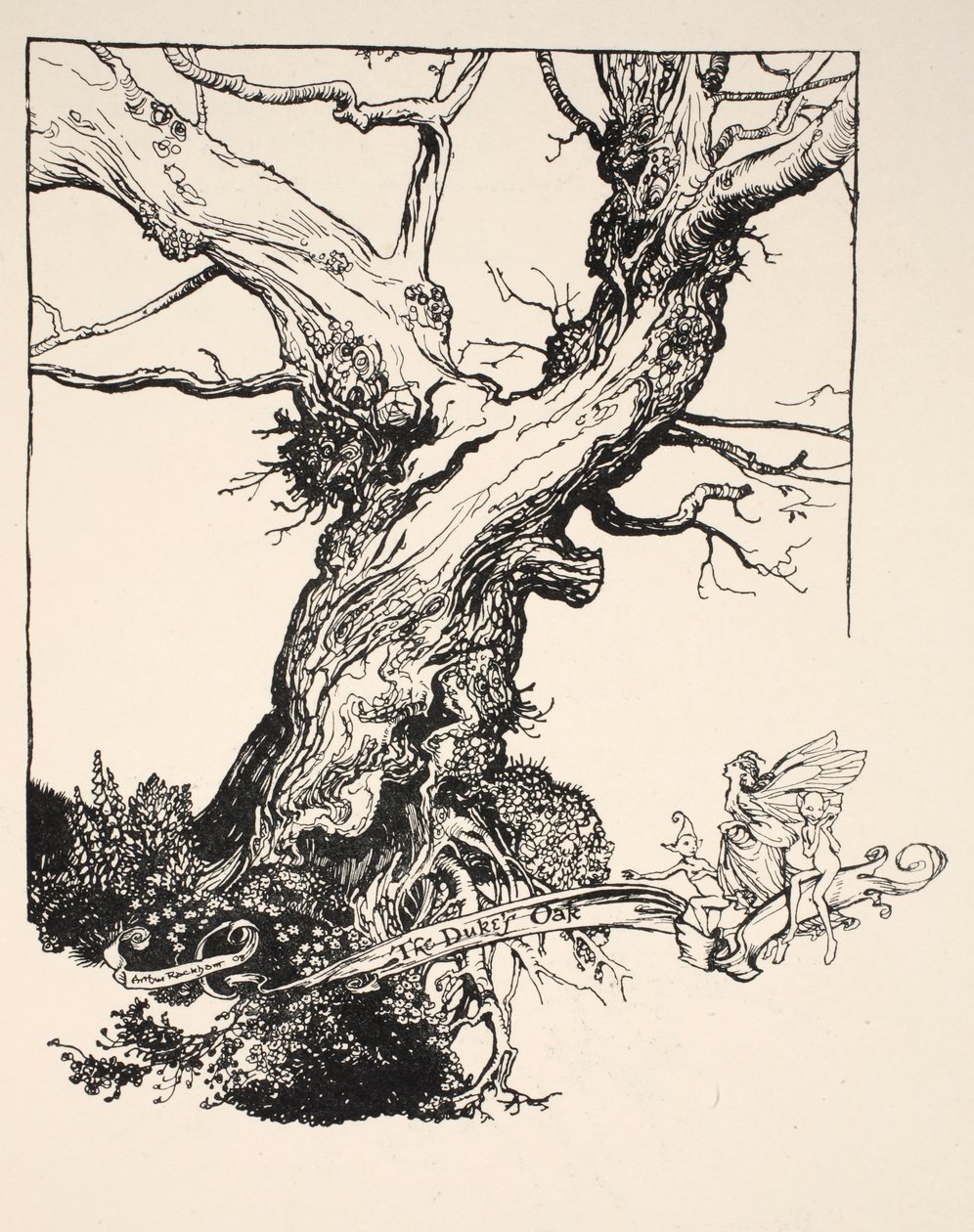 A herceg tölgye, illusztráció William Shakespeare „Szentáléji álom” című művéből, 1908 alkotó: Arthur Rackham