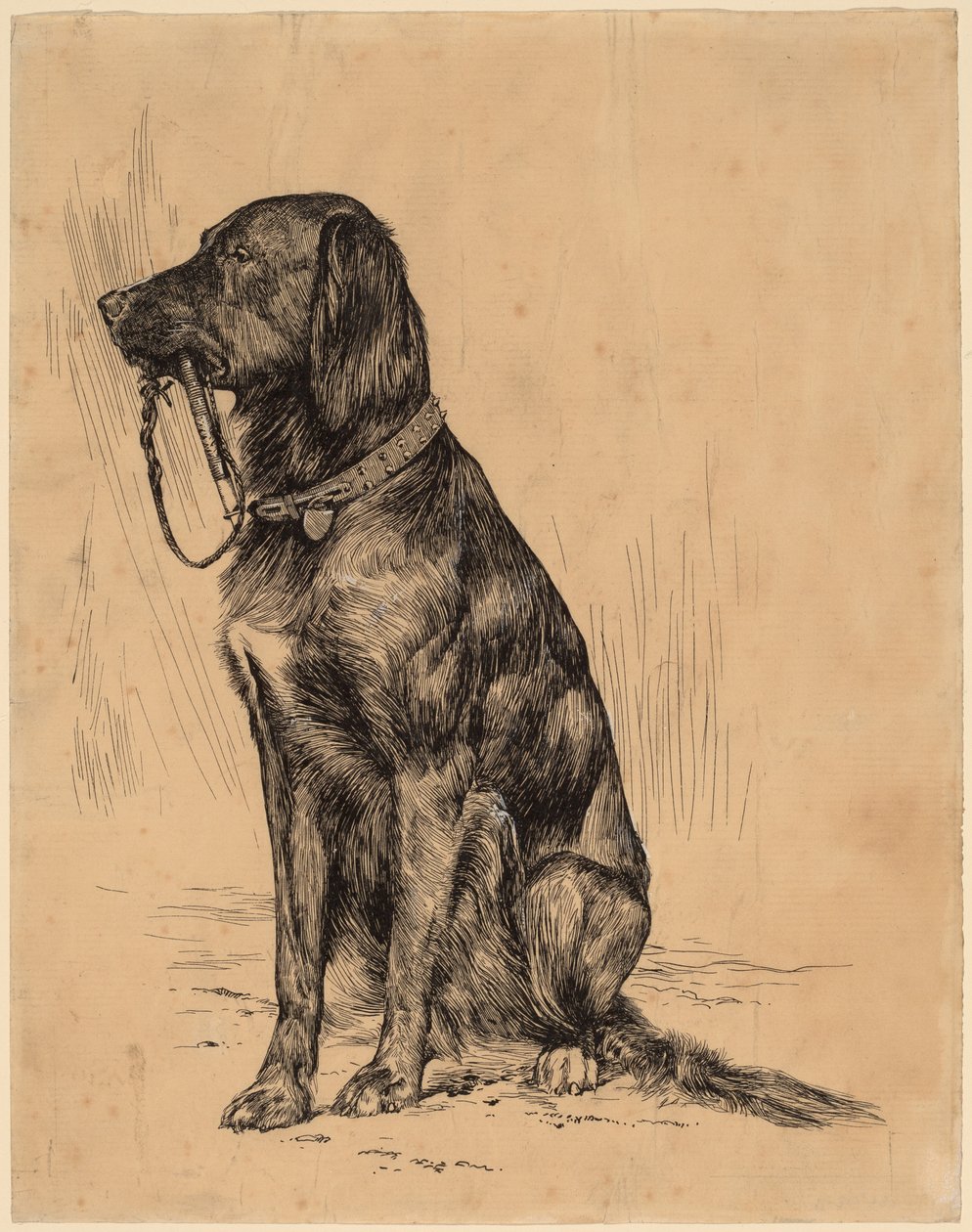 Aldrich kutyája alkotó: Arthur B. Davies