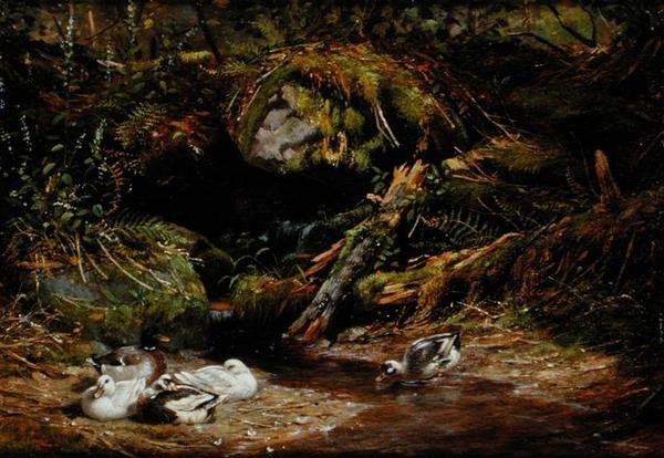 Kacsák a tavaszi fejnél alkotó: Arthur Fitzwilliam Tait