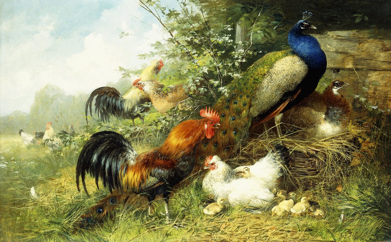 Madarak és pávák, 1899 alkotó: Arthur Fitzwilliam Tait