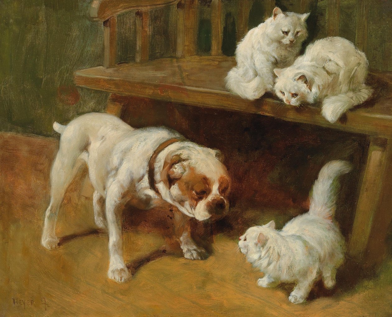 Kutya és macskák alkotó: Arthur Heyer