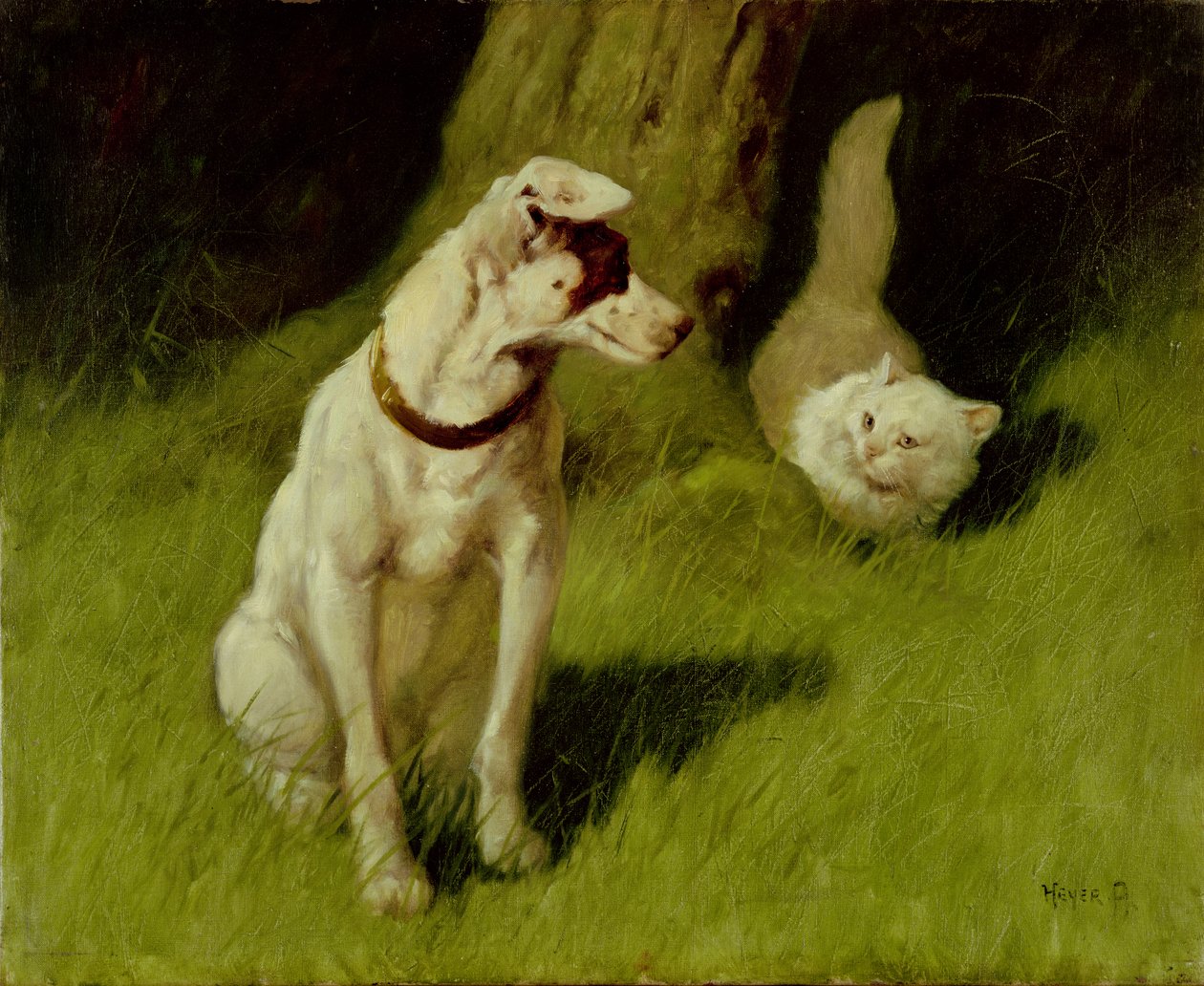 Fehér perzsa macska és Jack Russell alkotó: Arthur Heyer