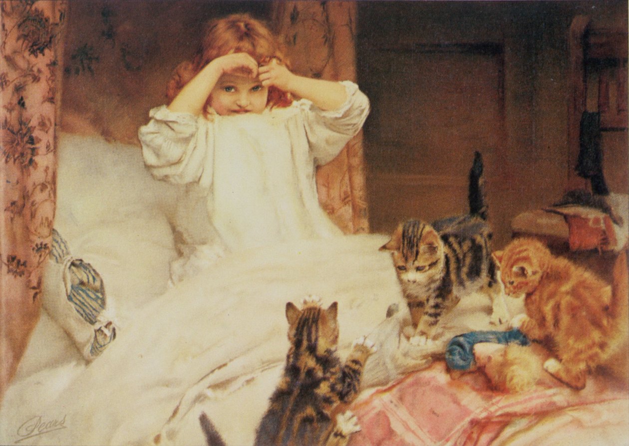 A megszállók alkotó: Arthur John Elsley