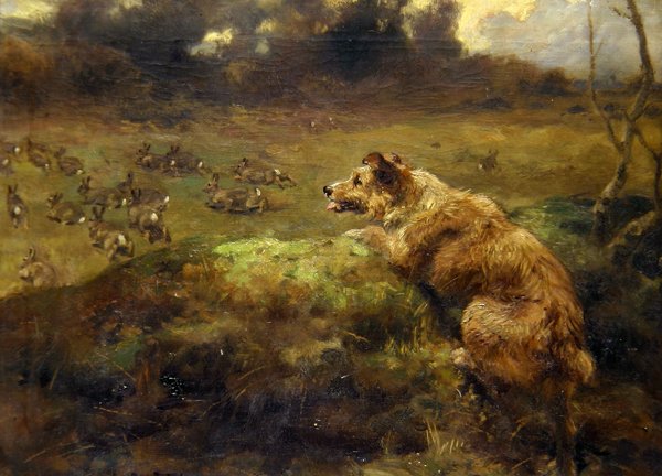 Rabbit Hunter (olaj, vászon) alkotó: Arthur John Strutt