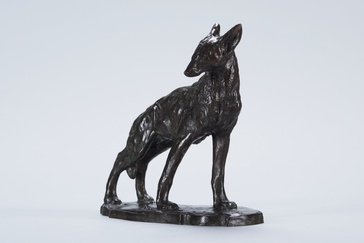 Alert Coyote (bronz) alkotó: Arthur Putnam