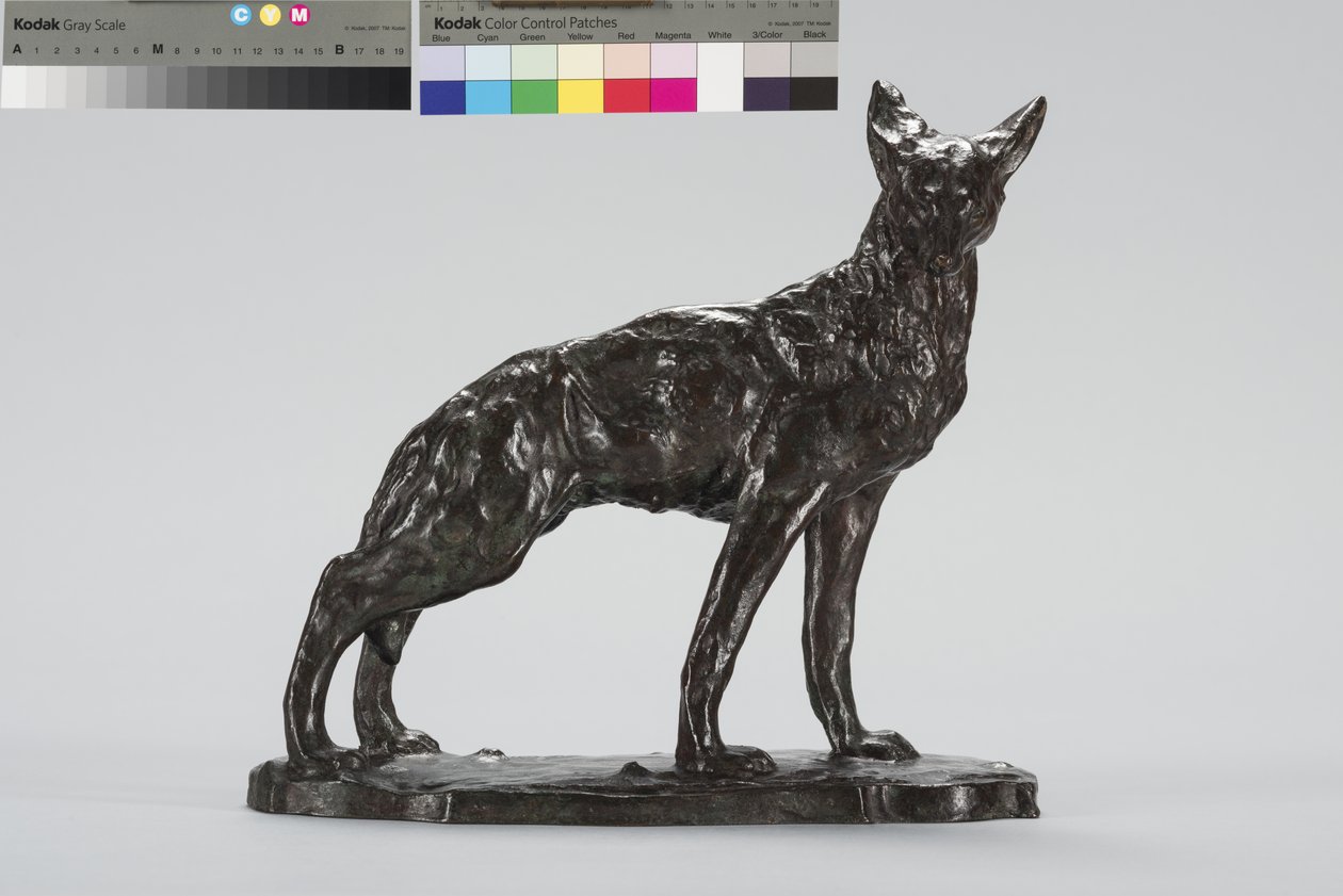 Alert Coyote (bronz) alkotó: Arthur Putnam