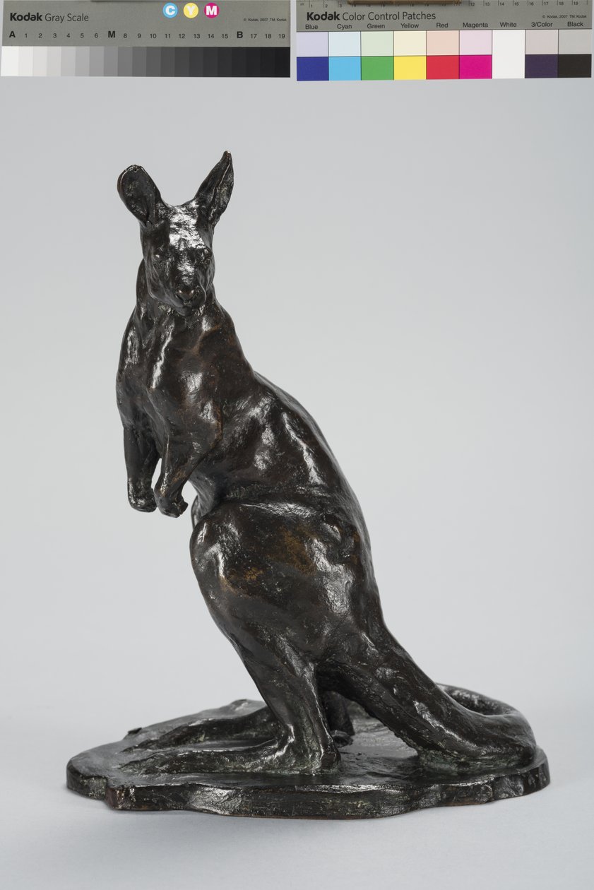 Kenguru (bronz) alkotó: Arthur Putnam