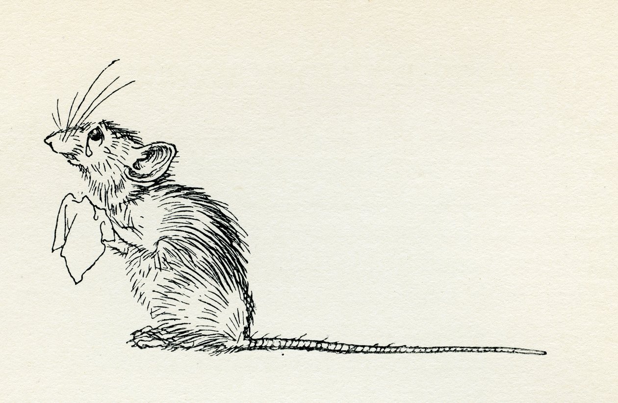 Titty Mouse és Titty Mouse alkotó: Arthur Rackham