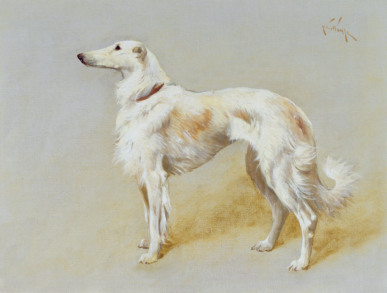 Borzoi kutya (olaj, vászon) alkotó: Arthur Wardle