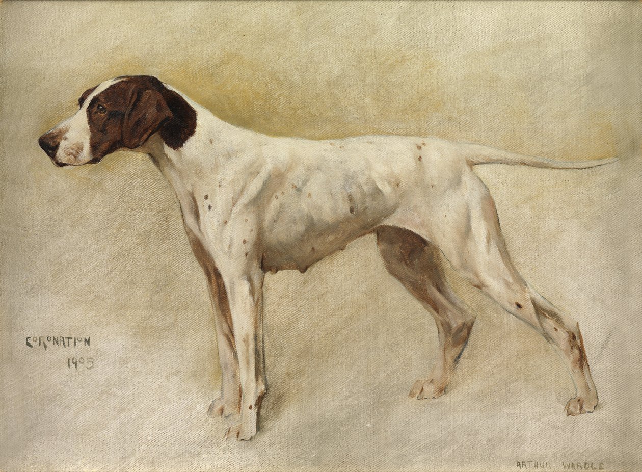Koronázás alkotó: Arthur Wardle