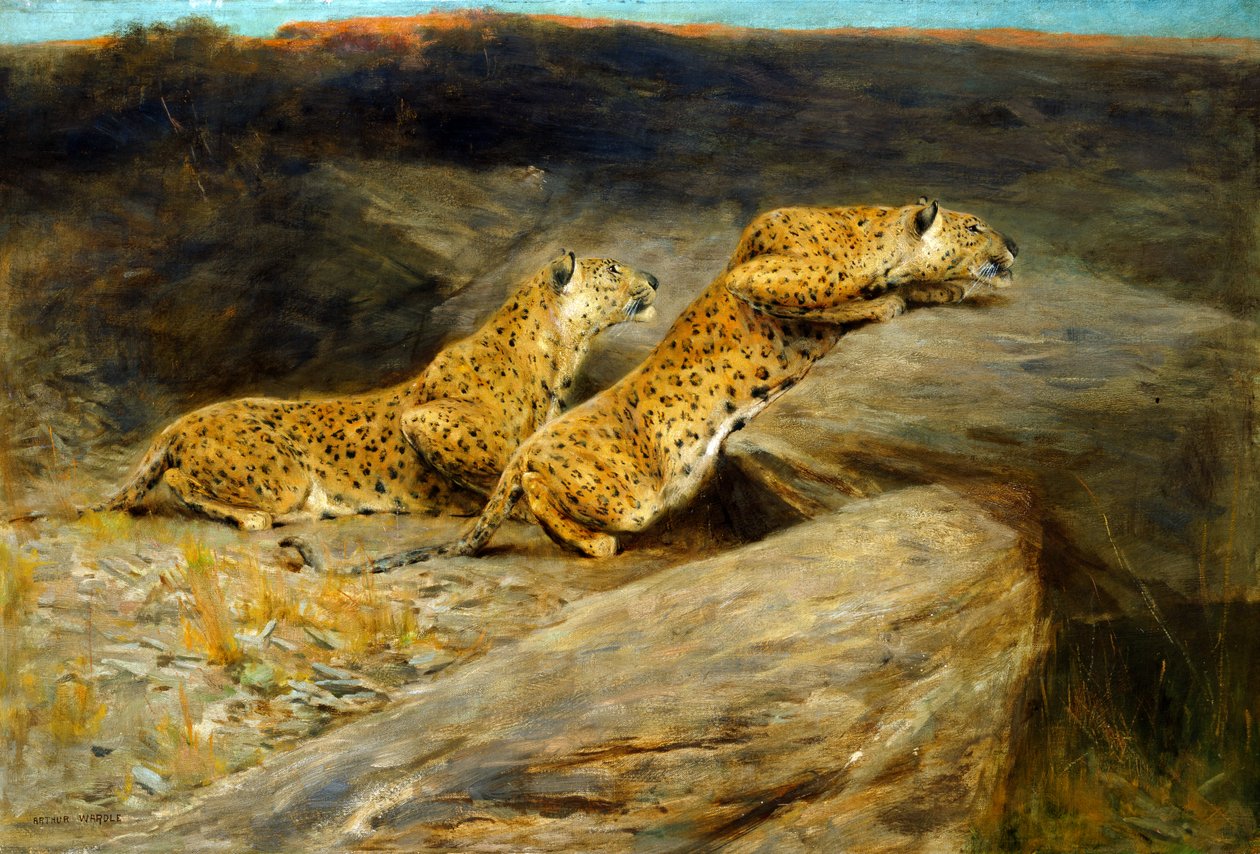 Az őrház, Troyes alkotó: Arthur Wardle