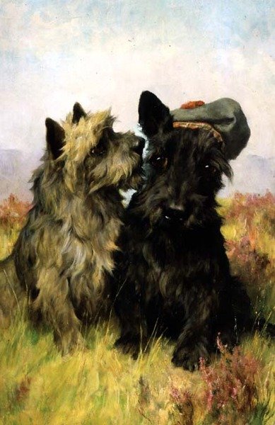 Ki Grassba alkotó: Arthur Wardle