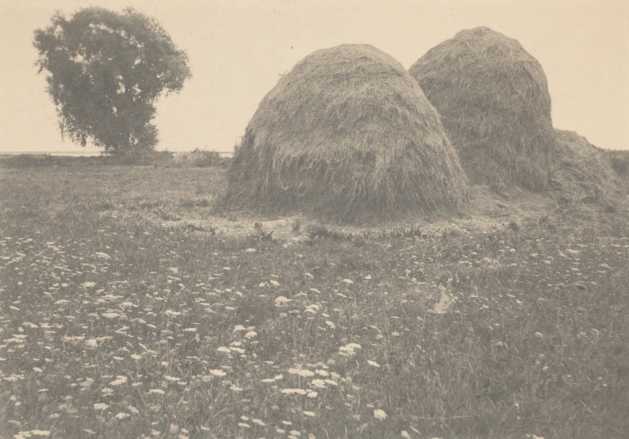 Haystacks, Ipswich,c. 1894 (fotó) alkotó: Arthur Wesley Dow