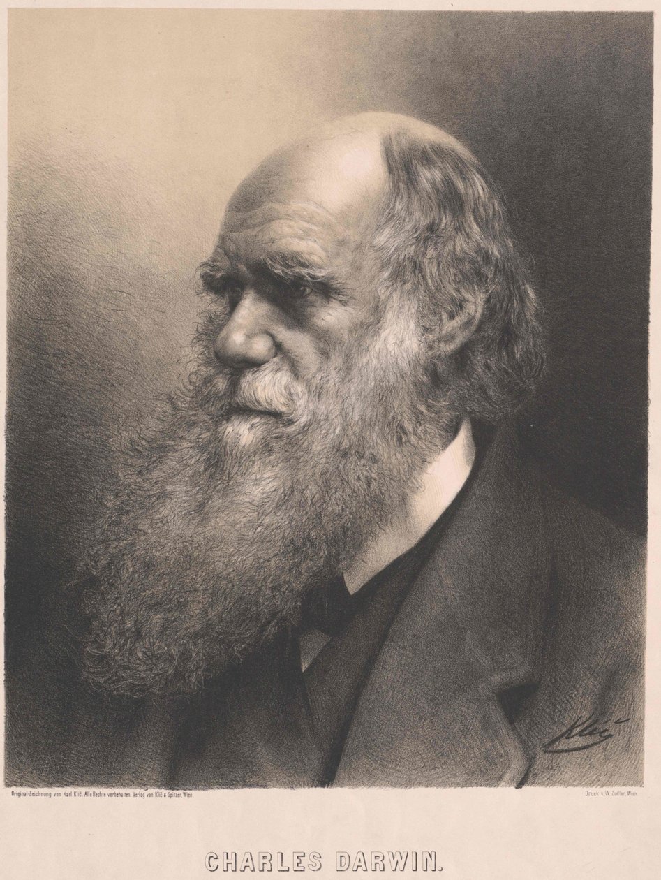 Charles Darwin alkotó: Artist Unknown
