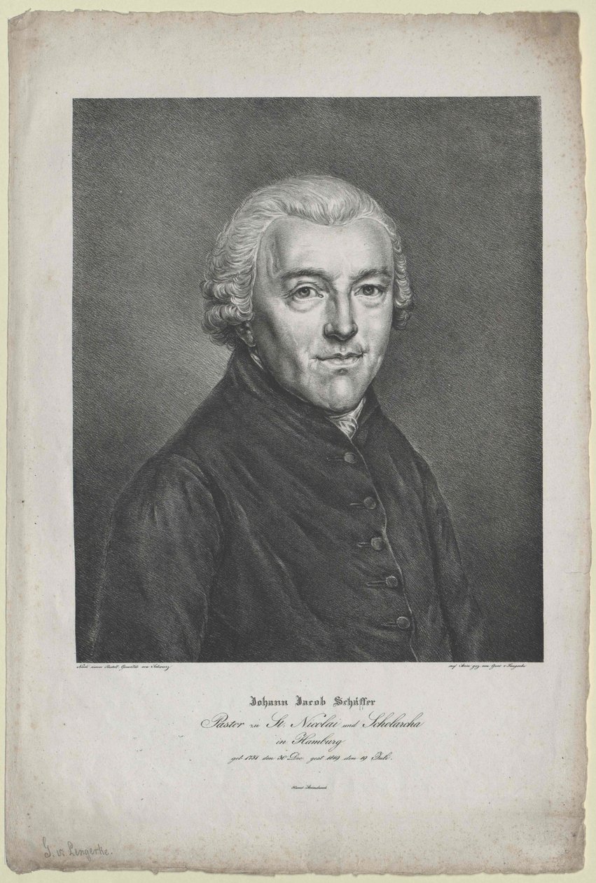 Johann Jakob Schaeffer alkotó: Artist Unknown