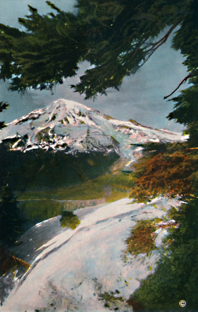Mount Tacoma az Eagle Peak-ről, Washington, 1916 alkotó: Asahel Curtis