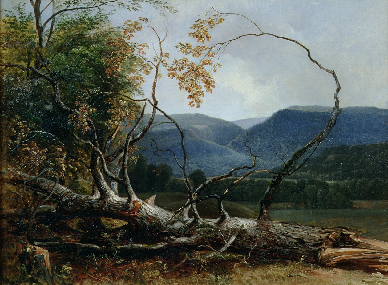 Stratton Notch, Vermont alkotó: Asher Brown Durand