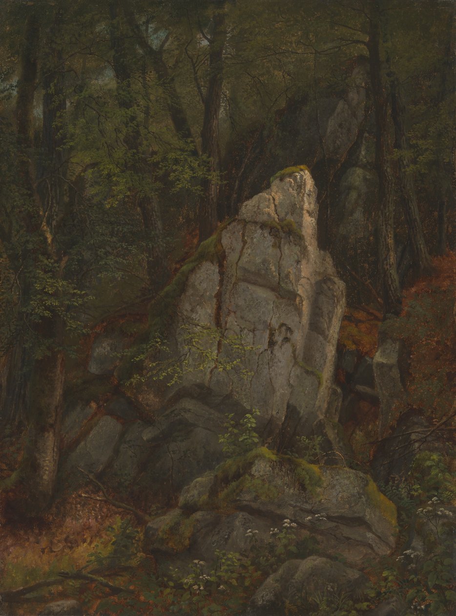 A Pearson-szurdok szikláinak tanulmányozása alkotó: Asher Brown Durand