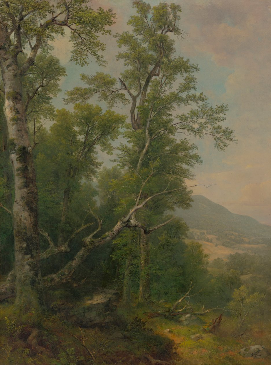 Fák tanulmányozása alkotó: Asher Brown Durand