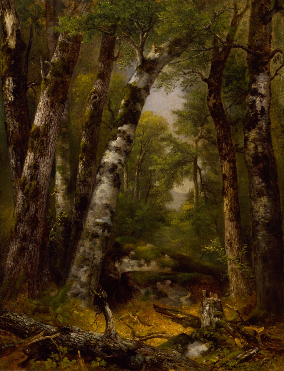 Woodland Glen, kb. 1850-1855. alkotó: Asher Brown Durand