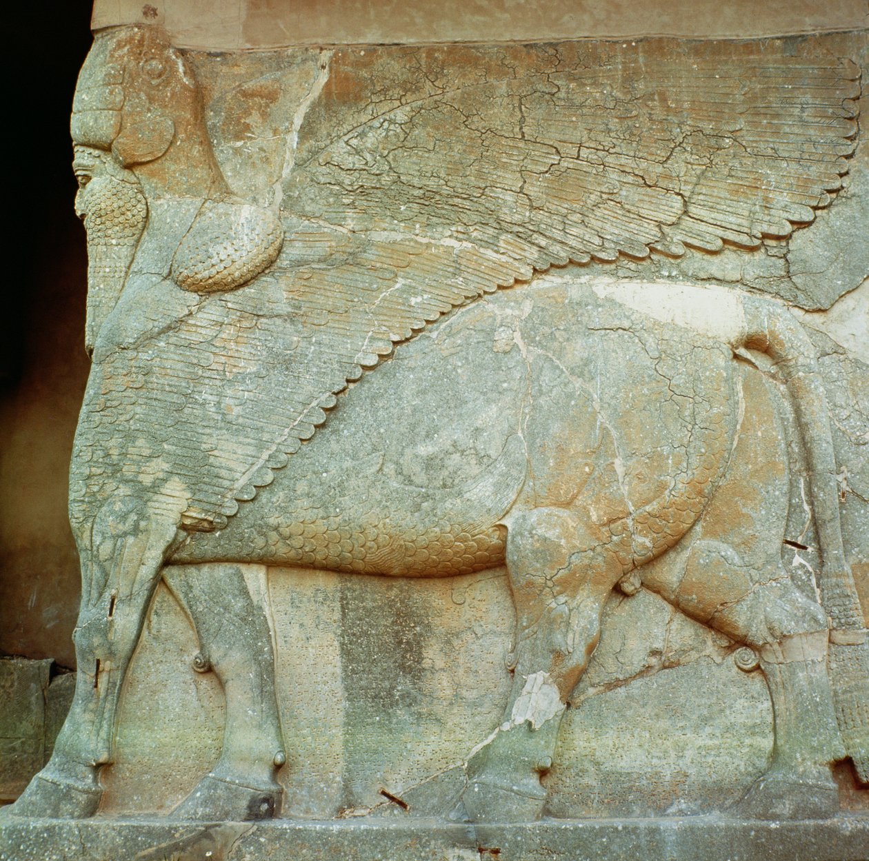 Egy antropomorf bika domborműve alkotó: Assyrian