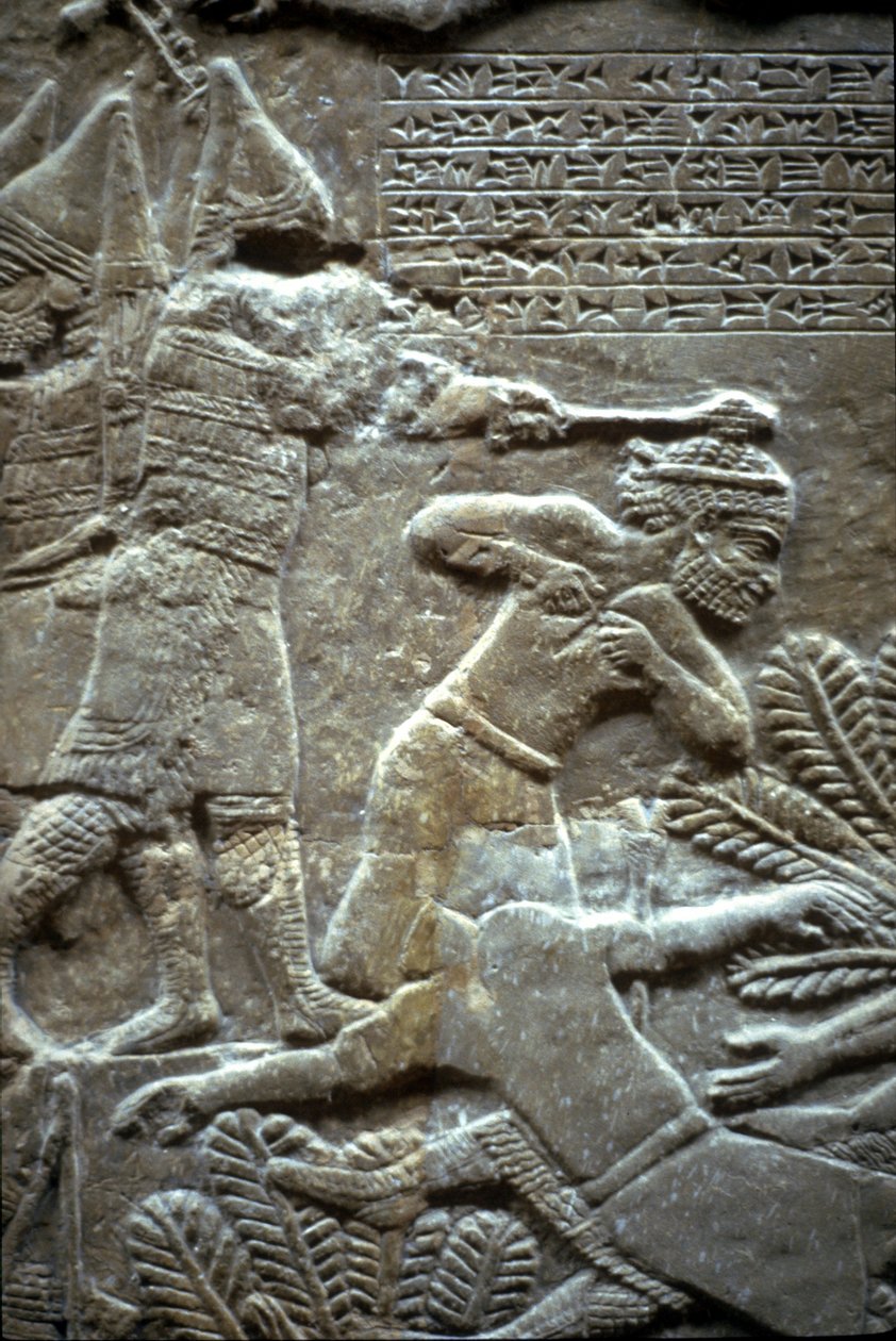 Ashurbanipal a Til-Tuba-i csatában, ie 650-620 között alkotó: Assyrian