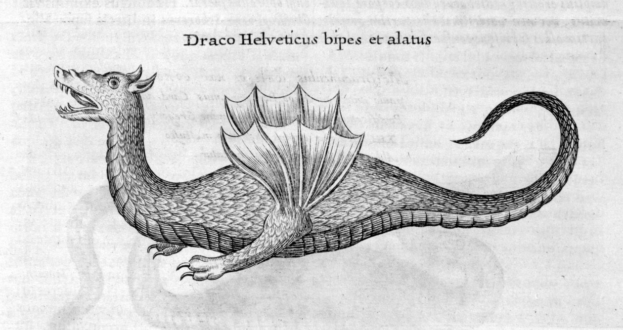 Sárkány, 1678 alkotó: Athanasius Kircher