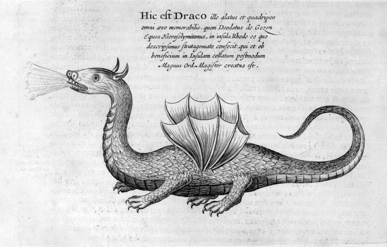 Sárkány, 1678 alkotó: Athanasius Kircher