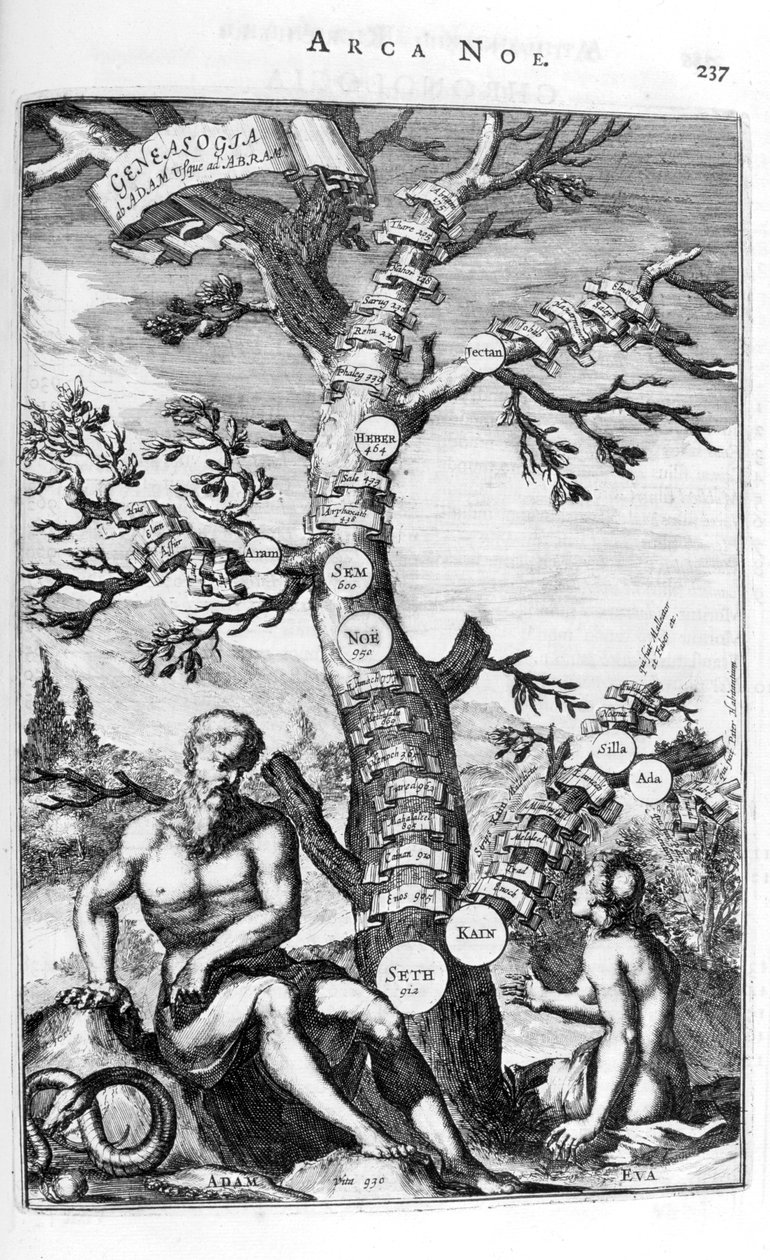 Ádám genealógiai fája, 1675. alkotó: Athanasius Kircher